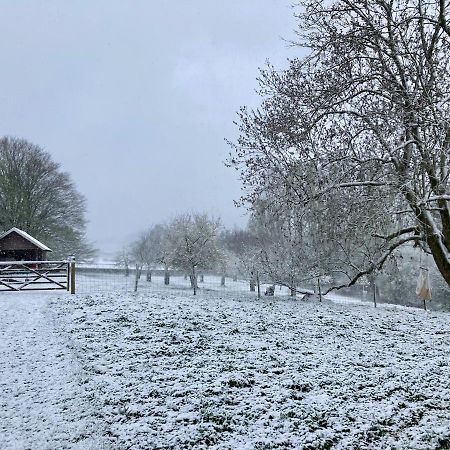 Nachtegael Hoekhuis, Knusse Woning Met Prachtig Vergezicht Kluisbergen Exterior foto