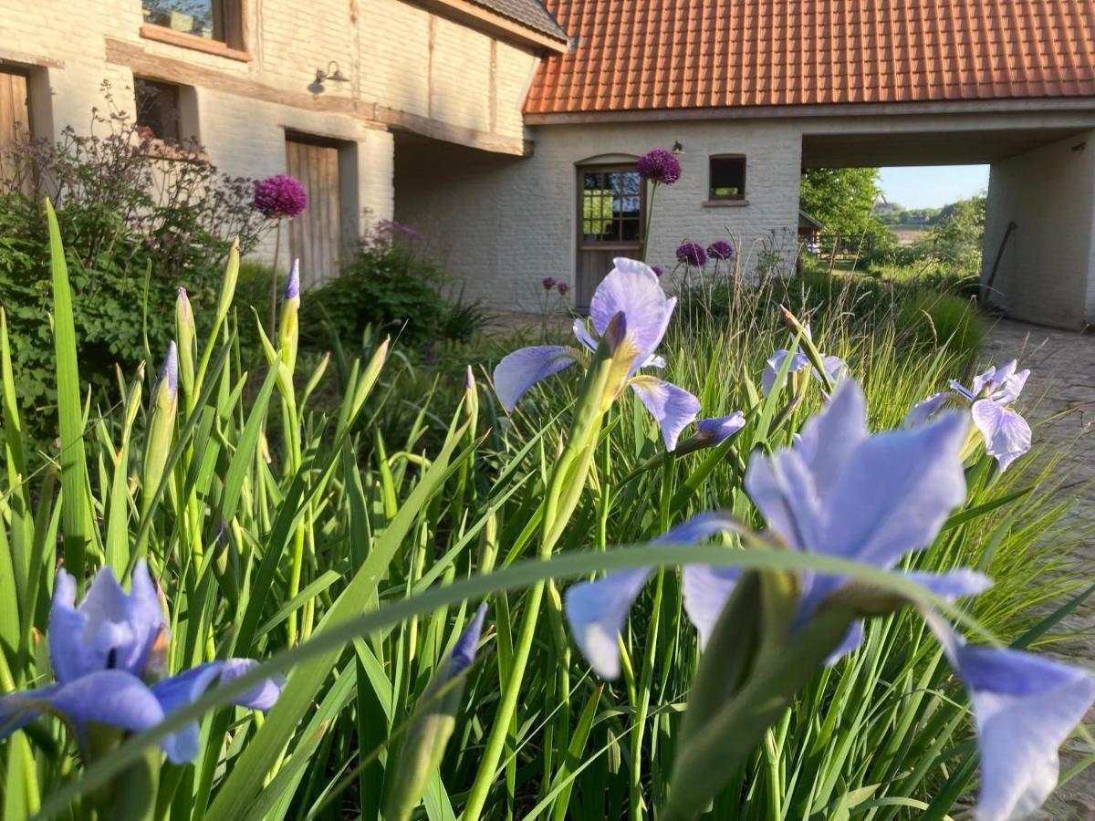 Nachtegael Hoekhuis, Knusse Woning Met Prachtig Vergezicht Kluisbergen Exterior foto